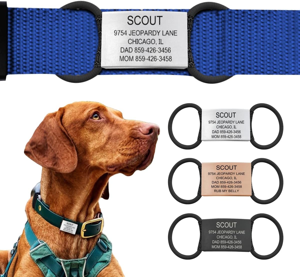 Personalized Dog Tags by ROAD iD | Silent & Durable | Jingle-Free Slide-On Design | Stainless Steel Name Tag Fits Any Collar | Multiple Colors & Sizes for Your Pet's Unique Style