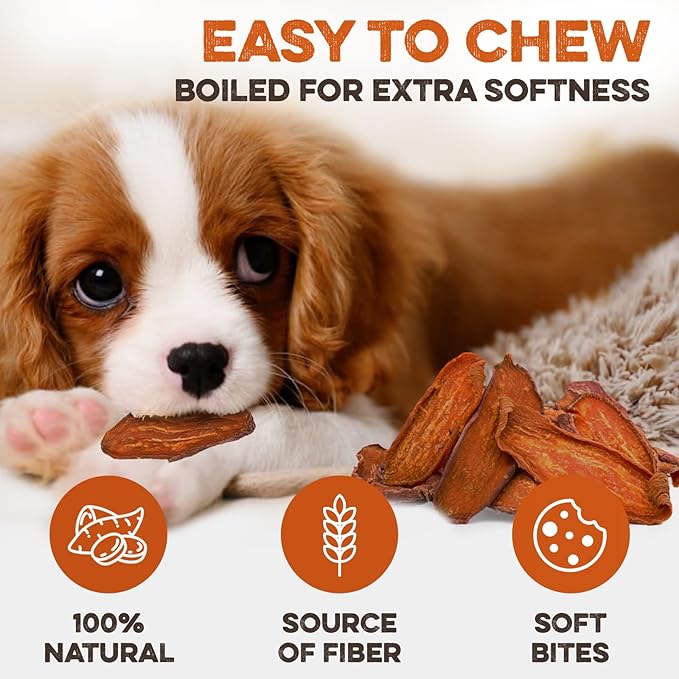 Sweet Potato Slices For Dogs - Soft & Chewy - Single Ingredient Dog Treats, Healthy 100% Natural Sweet Potato Dog Treats With No Added Preservatives - Softer & Great For Puppies Or Senior Dogs (14oz)