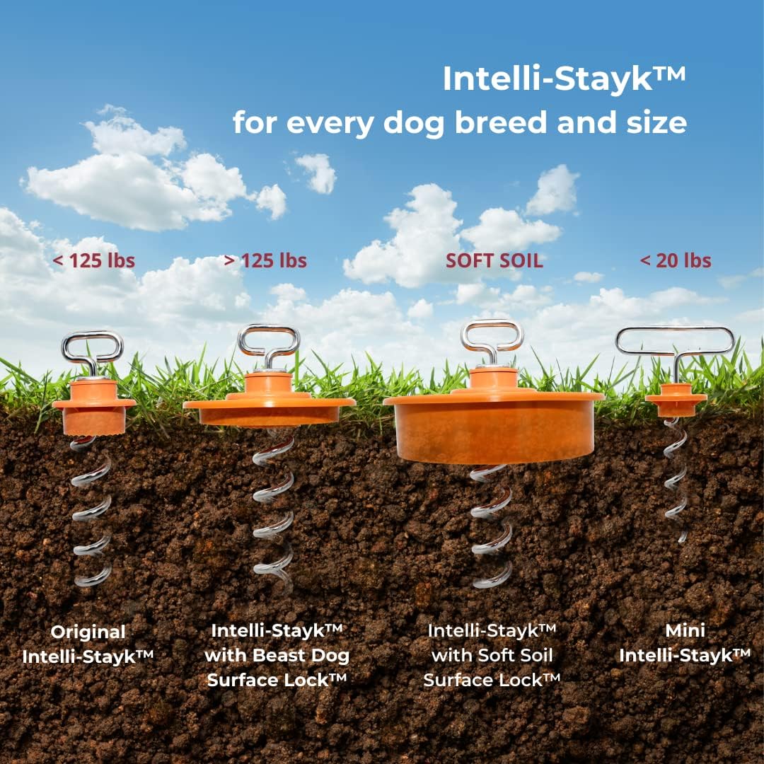 IntelliLeash Mini Intelli-Stayk: Secure Tie-Out Stake for Small Dogs (Up to 20 Pounds) with Patented Surface-Lock Technology