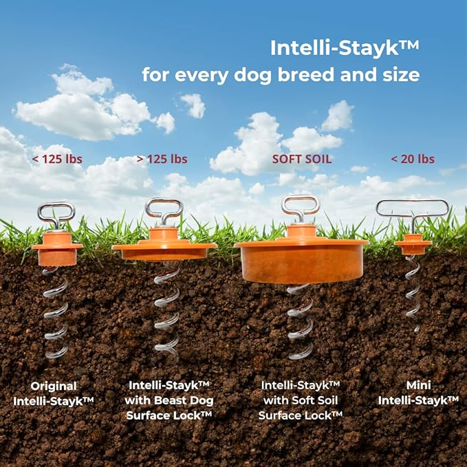 Intelli-Stayk: Beast Dog Surface-Lock Tie-Out Stake for Large and Strong Dogs