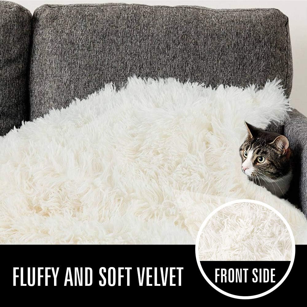 LOCHAS Luxury Fluffy Dog Blanket, Extra Soft and Warm Sherpa Fleece Pet Blankets for Dogs Cats, Plush Furry Faux Fur Puppy Throw Cover, 30''x40'' Cream White
