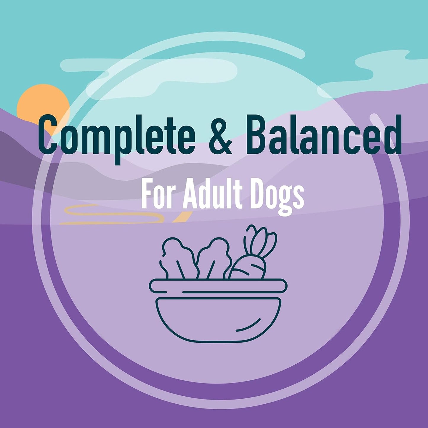 A Strong Heart Wet Dog Food, Chopped Dinner with Beef - 22 oz Cans (Pack of 12), Made in The USA with Real Beef