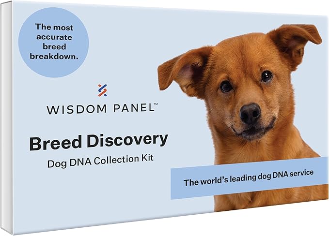 Wisdom Panel Breed Discovery Dog DNA Kit: Most Accurate Dog Breed Identification, Test for 365+ Breeds, MDR1 Health Test, Ancestry, Relatives