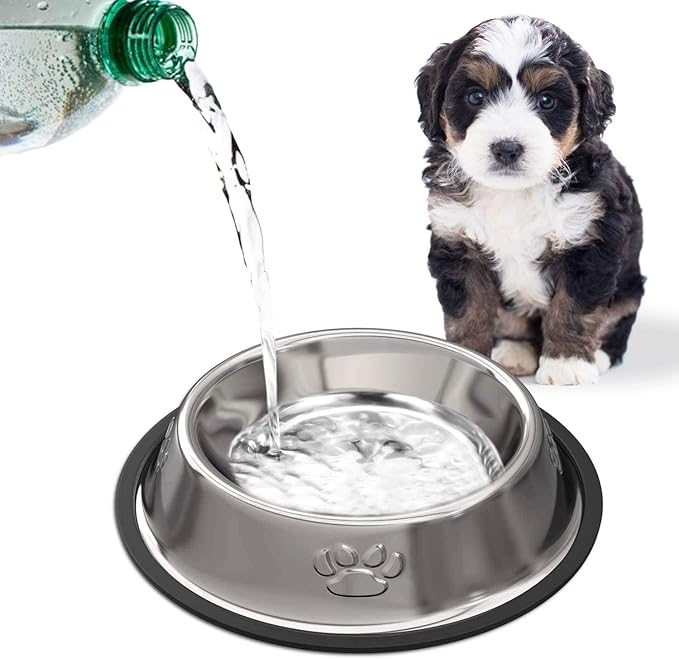 YUDANSI 2 Stainless Steel Dog Bowls, Puppy Cat Feeding Bowls, Shallow Cat Dish with Rubber Base, Mini and Small Pet Feeder Food Water Plate (XS-6oz)