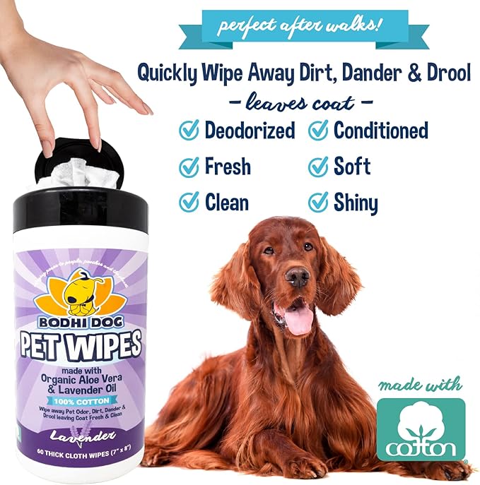 Bodhi Dog Pet Wipes - Grooming, Cleaning and Deodorizing Wipes for Dogs & Cats - No Parabens or SLS - Large, Thick, Wet Wipes - Wipe Away Pet Odors & Refreshes Coat - Lavender Scent (60 Count)