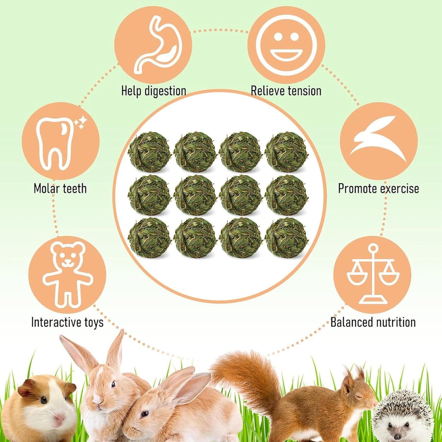 Hamiledyi 12 Pcs Rabbit Chew Ball Timothy Grass Ball Small Animal Activity Play Chew Toys Teeth Grinding for Bunny Rabbits Hamster Guinea Pigs Gerbils Chinchillas