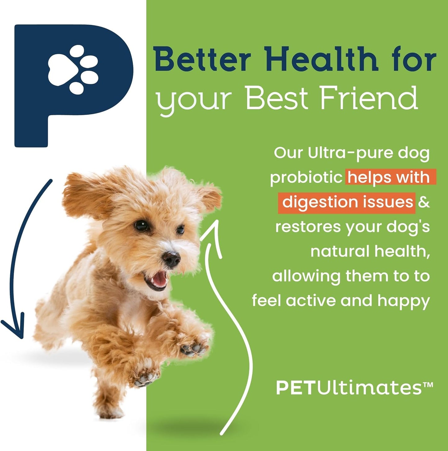 Pet Ultimates Probiotics for Dogs – 22-Species Dog Probiotics for Digestive Support & Antibiotics Recovery – Skin and Coat Supplement, Enhances Vitality – Dog Health Supplies (2 Pack)