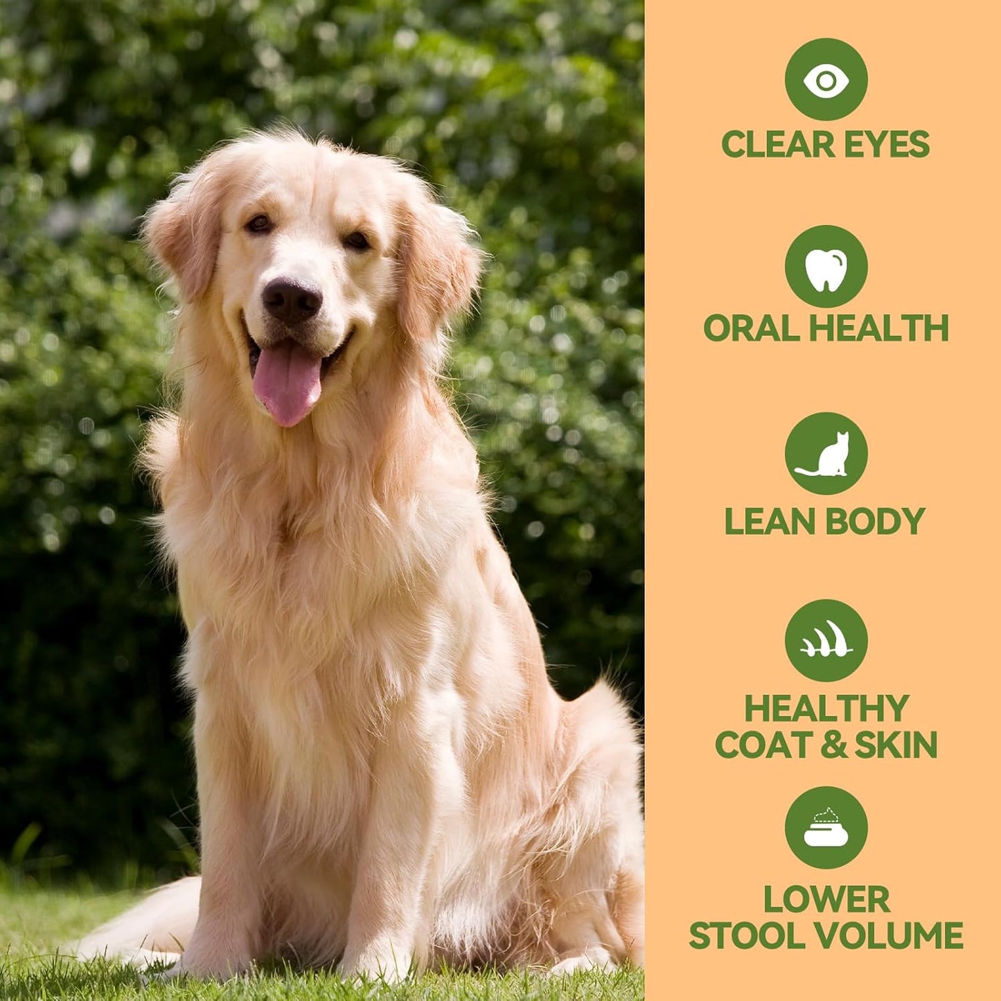 OPET Freeze Dried Chicken Cat Treats, Single Ingredient Grain Free High Protein Pet Food for Cats and Dogs, Healthy Training Snacks, Freeze Dried Cat Food (Chicken Breast, 1.48 Ounce)