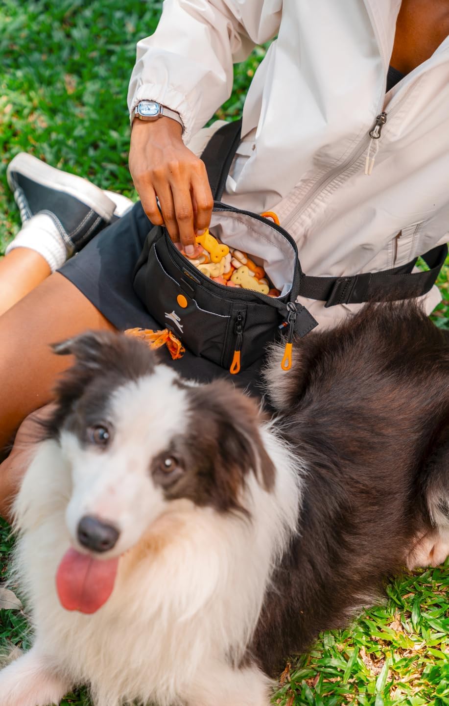 OllyDog Backcountry Day Bag | Hands-Free Dog Training Treat Pouch | Fanny/Hip Pack with Zipper Closure & Built-in Poop Bag Dispenser | Removable Waist Clip (Raven S'25)