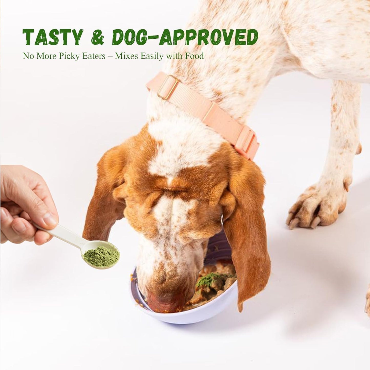 Dog Dental Care Powder - 300g Teeth Cleaning Powder for Dogs with Probiotic, Plaque & Tartar Control with Natural Enzymes, Fresh Breath for Small Medium Large Dogs