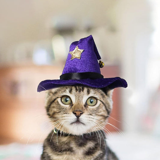 LESYPET Cat Costume Hat, Cat Wizard Hat with Bell, Dog Halloween Costume for Halloween, Christmas, Party