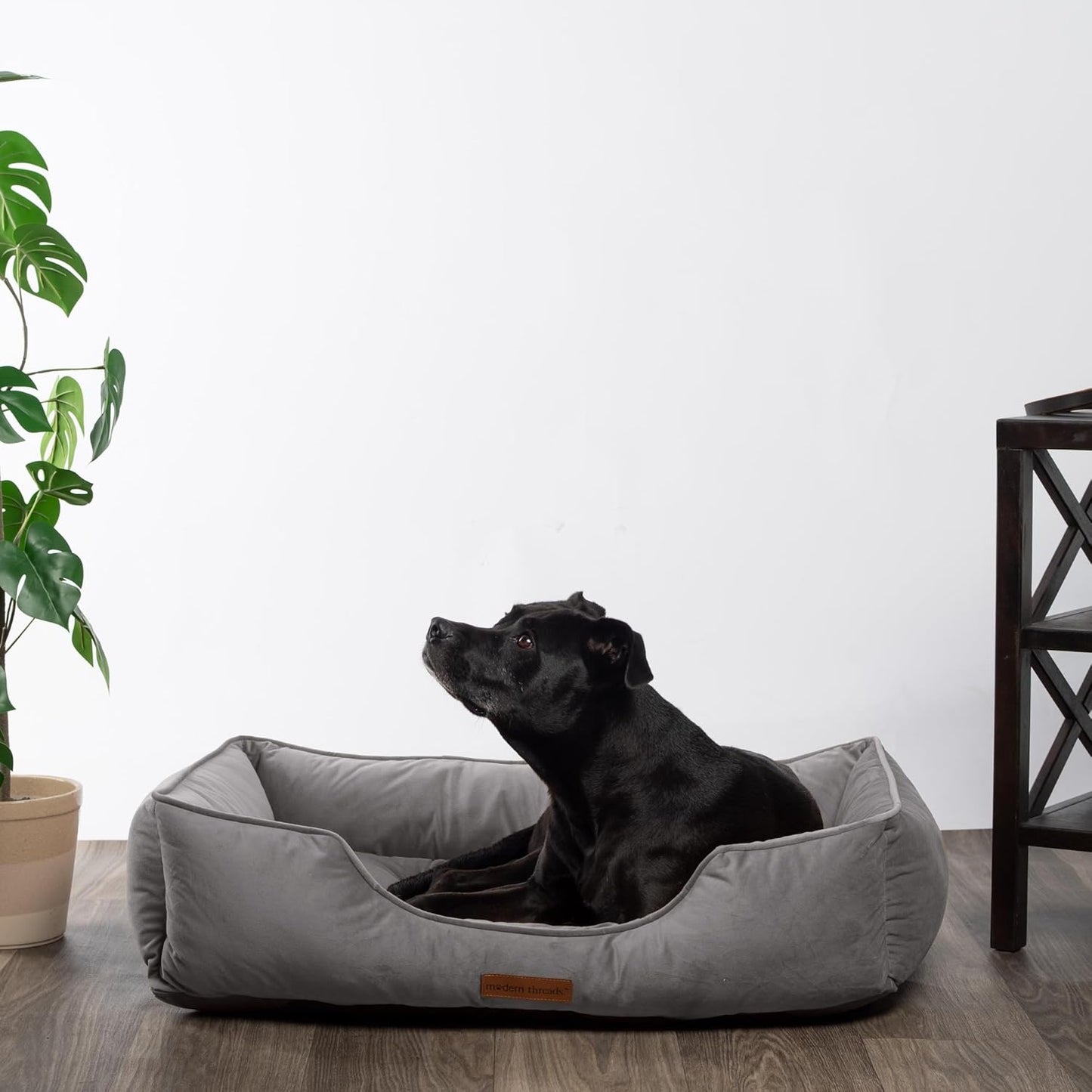Modern Threads Luxury Dog Bed - Comfortable Tufted Velvet Cushion for Small to Large Dogs - Machine Washable - Durable & Cute Sleep Space for Pets - Pamper Your Pet with Cozy Beds - Charcoal