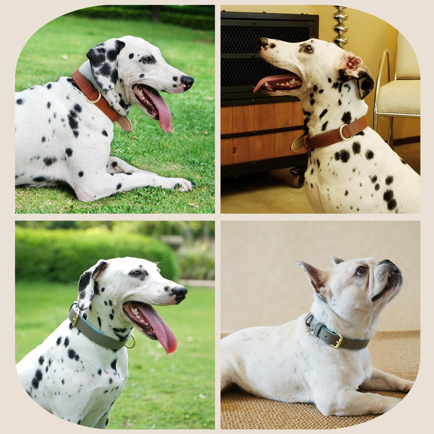 Dog Collar Soft Padded Heavy Duty Strong Collars Comfortable Basic Pet Collar with Adjustable Rust-Proof Metal Buckle Best Gift for Small Medium Large,Brown,M