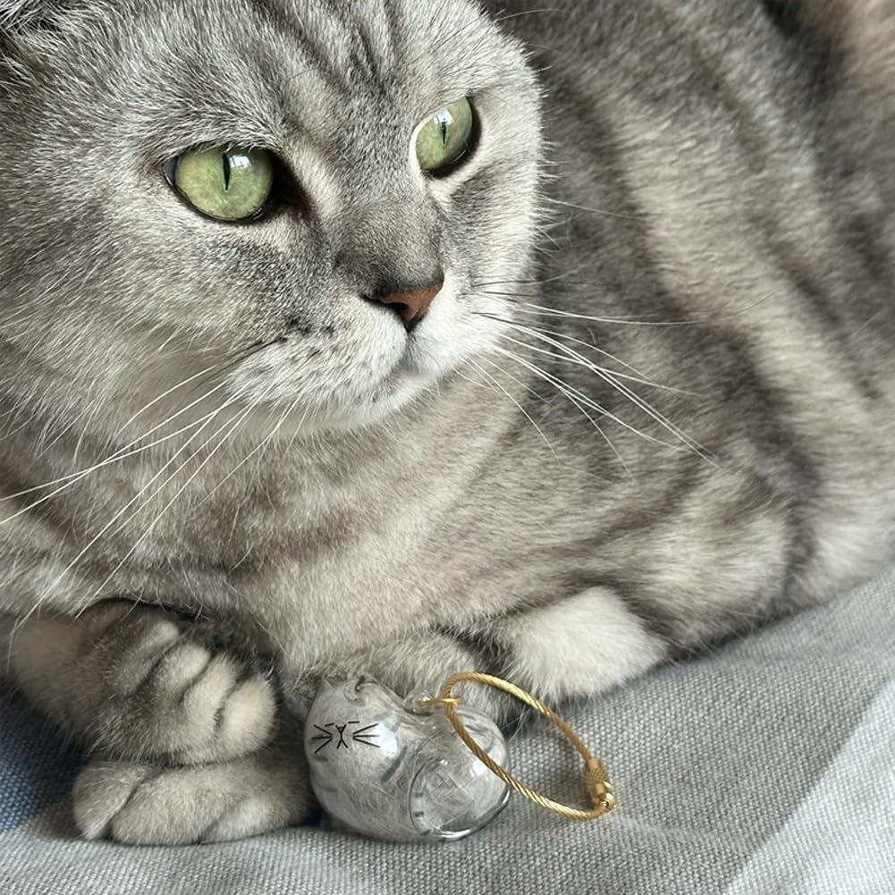 6Pcs Cat Hair Keychain - Pet Hair Memorial Keychain,Transparent Cat Fur Container,Portable Pet Keepsake for Cat Lovers,Cat Fur Memory Charm,Cat Fur Keepsake
