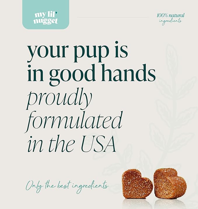 My Lil' Nugget - Natural Hip & Joint Supplement Chews for Dogs - Glucosamine, Hemp Seed & Chondroitin Mobility Support - Bacon Flavored - Soft Chews for All Ages - 90 Count