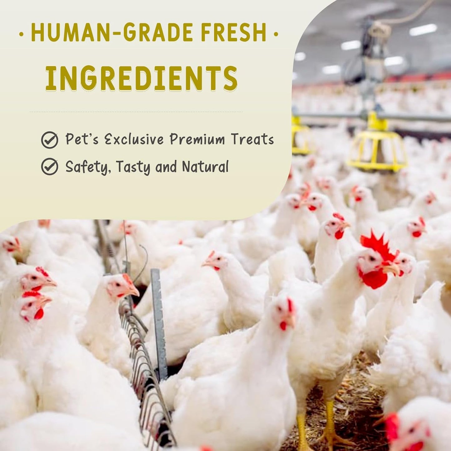 Freeze Dried Chicken Necks Treats for Dogs & Cats, Single Ingredient, Premium Quality High Protein Training Treats, Grain Free, Gluten Free, Filler Free, Supports Bone, Teeth & Joint Strength