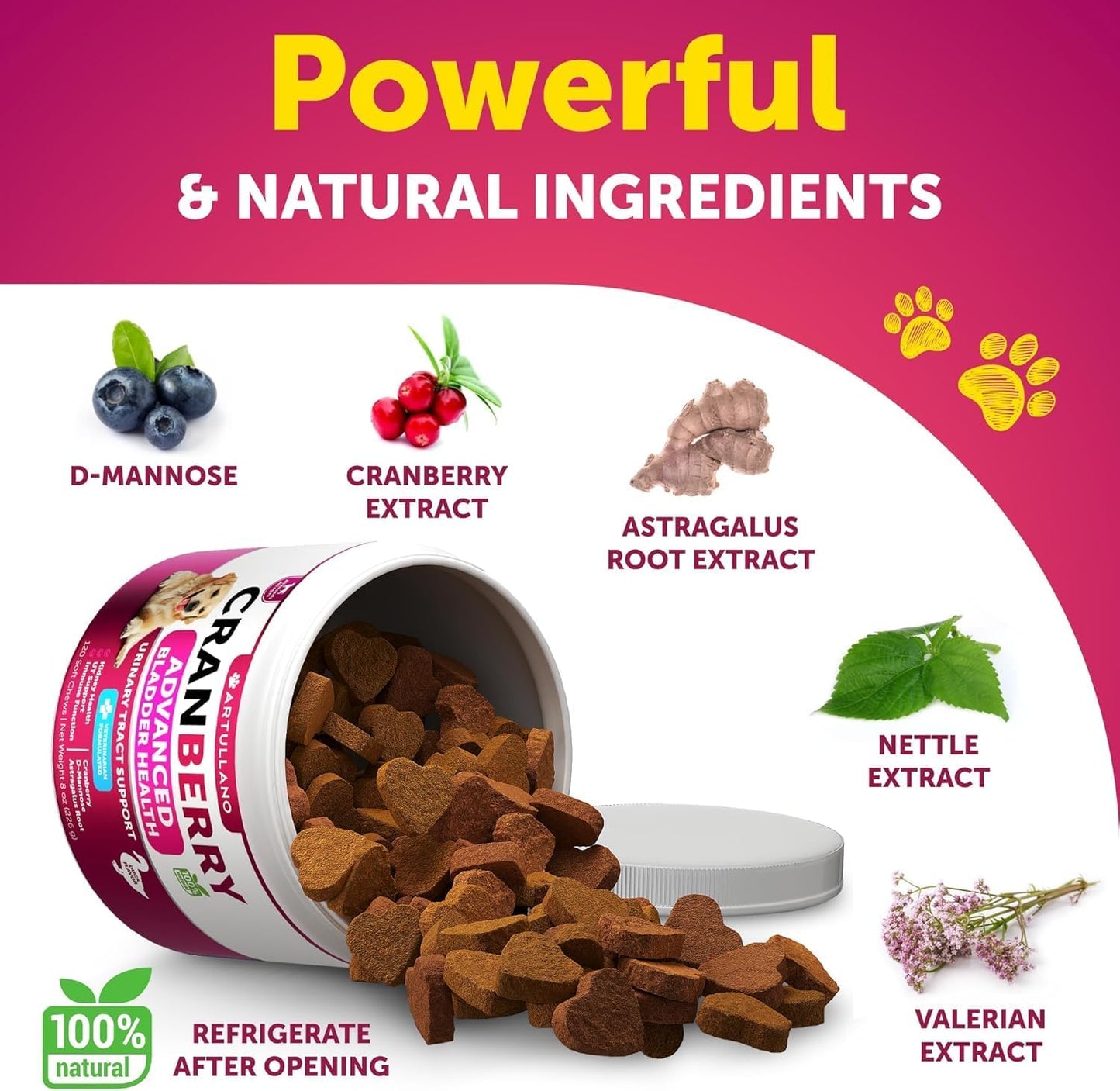 Dog UTI Treatment - Cranberry Supplement & Bladder Control for Dogs - Urinary Tract Infection Incontinence Pill, Bladder Stones - UTI Medicine Treats - 120 Soft Chews for Kidney Support with Fish Oil