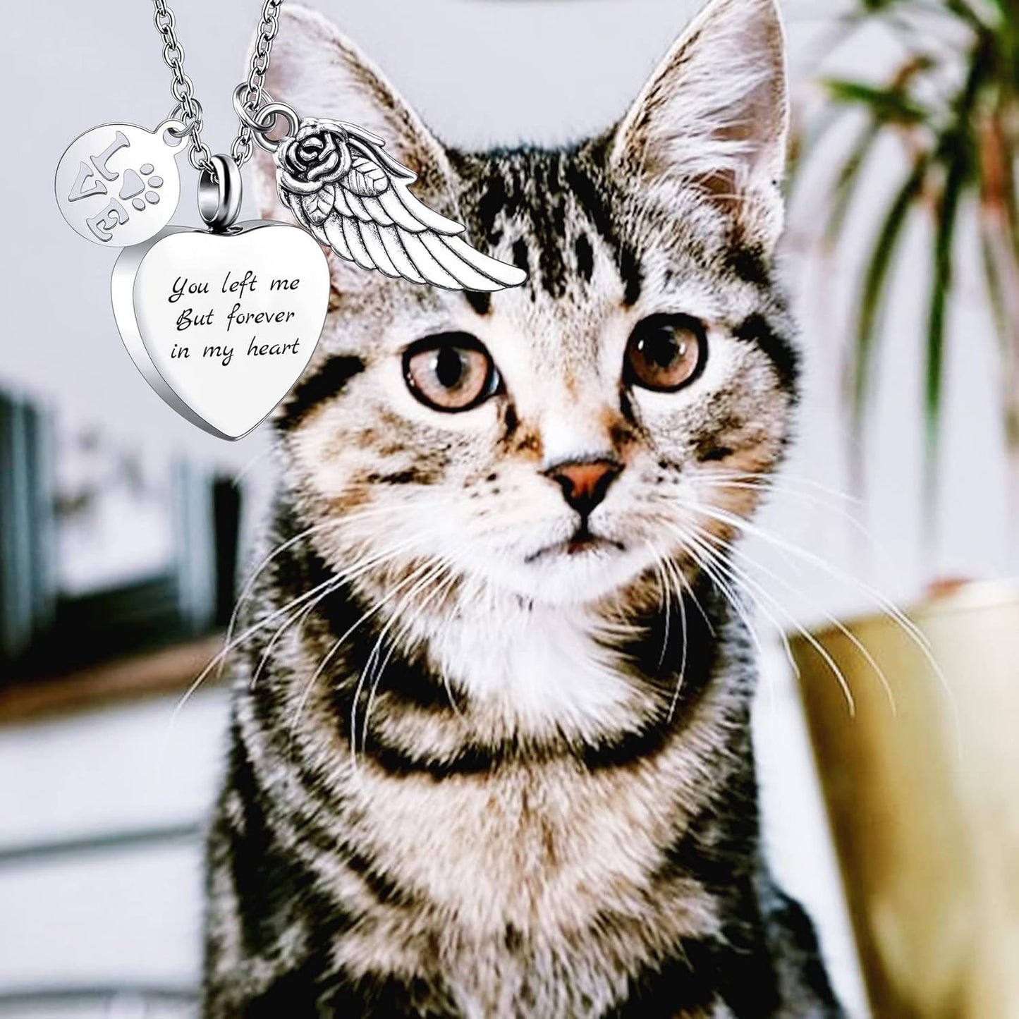 Personalized Urn Necklace for Pet Ashes Custom Photo/Name/Date Paw Print Pendant for Women Men Cremation Jewelry Memorial Keepsake for Dog/Cat/Pet Urn Necklace with Funnel Fill Kit