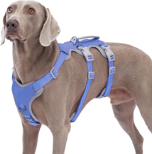 Huntboo Escape Proof Dog Harness, No Pull Reflective Harness with Lift Handle, Adjustable Pet Vest with Front and Back Leash Clips for Small Medium Large Dogs Walking Hiking Training (Vista Blue,L)