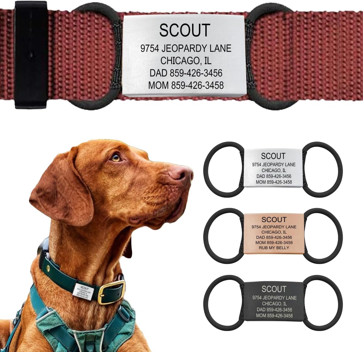 Personalized Dog Tags by ROAD iD | Silent & Durable | Jingle-Free Slide-On Design | Stainless Steel Name Tag Fits Any Collar | Multiple Colors & Sizes for Your Pet's Unique Style