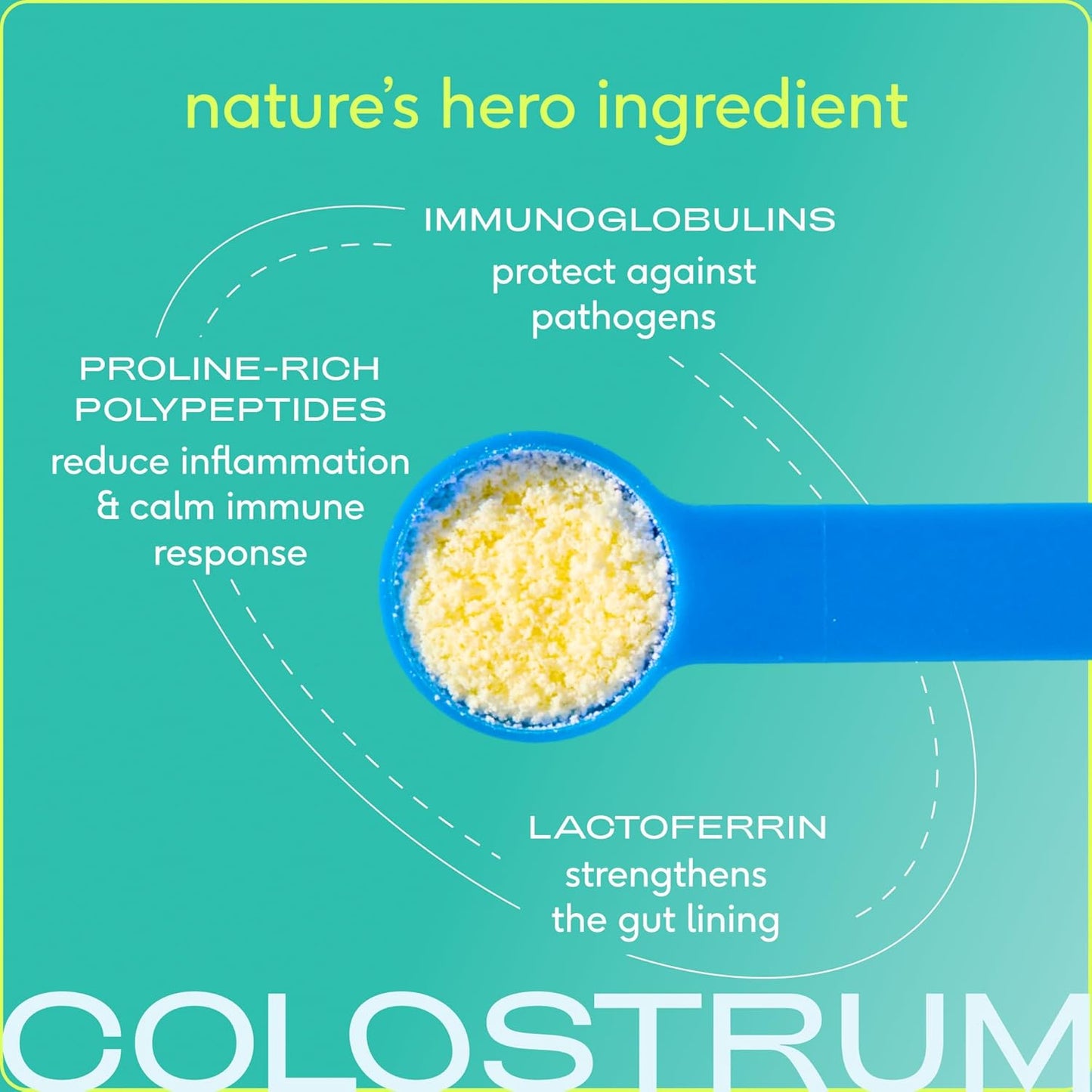 Native Pet The Daily Dog Vitamins & Supplements (30 Scoops) & Bovine Colostrum Powder (120 Scoops) – 11-in-1 Multivitamin, Allergy Relief, Immune Support & Itchy Skin Treatment for Dogs