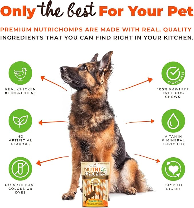 NutriChomps Dog Chews 5-inch Twists, Easy to Digest, Rawhide-Free Dog Treats, 10 Count, Real Peanut Butter Flavor, Bundle of 2, 20 Count, NT063V-2