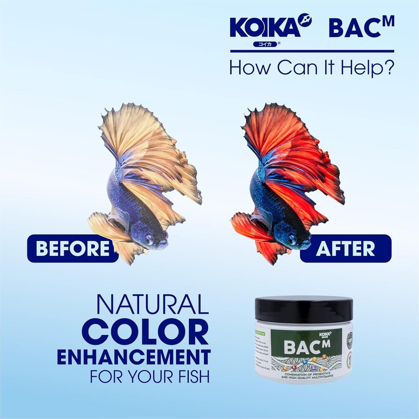 KOIKA BACM Natural Color Enhancement for Fish, Combination of Probiotic & Multi-Vitamins for Aquarium A, B6, B2, Pleasant Smell (BACM (New Formula), 10ml)