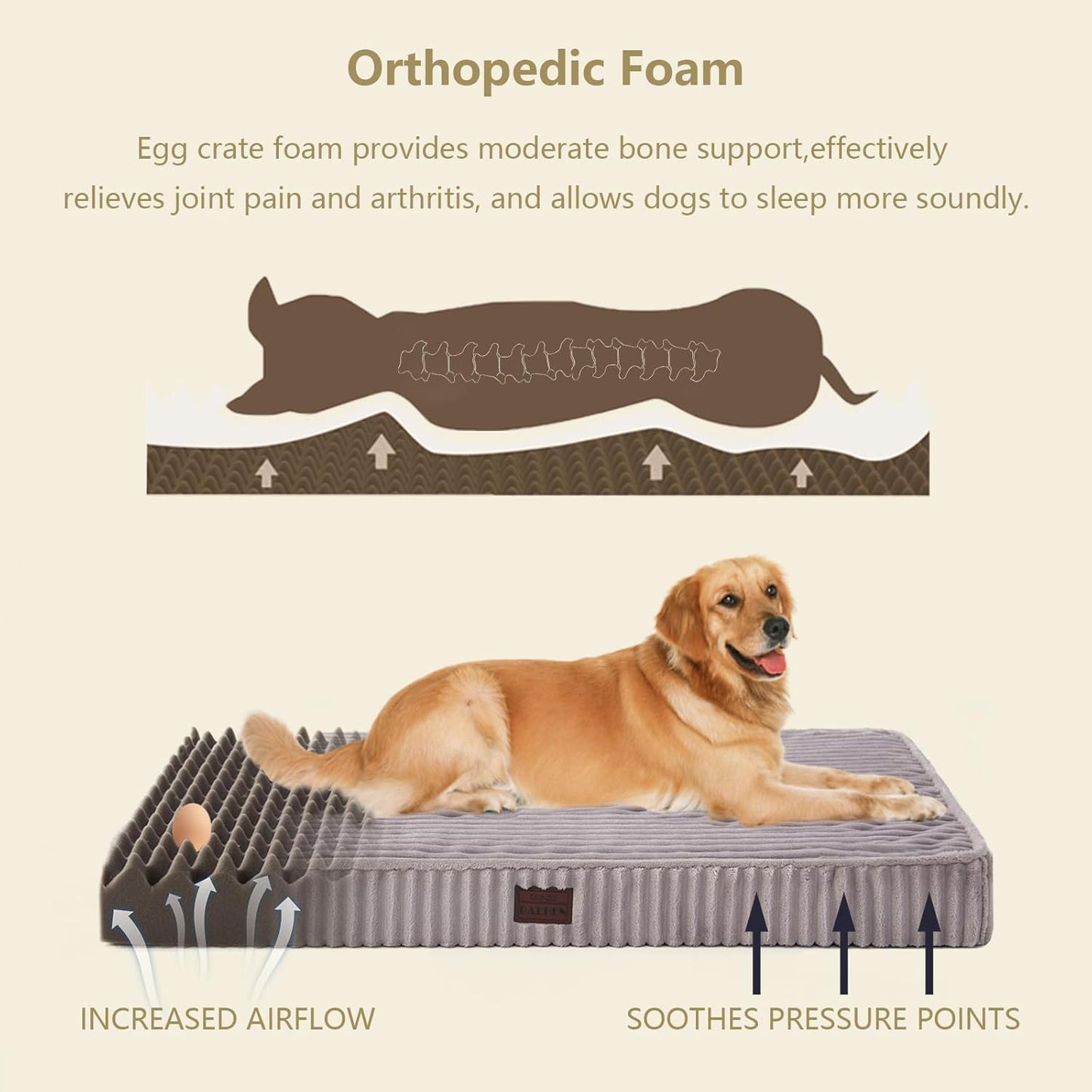 Orthopedic Dog Beds for Medium, Small Dogs - Plush Washable with Egg Crate Foam, Waterproof with Removable Cover & Anti-Slip Bottom, Comfy Striped Dog Bed for Crate, 31x25 Inch, Gray