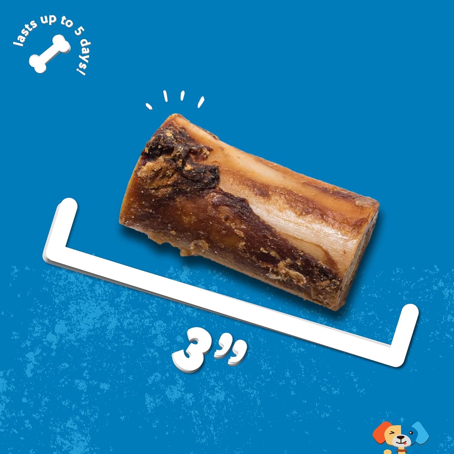 Jack&Pup Beef Marrow Bones for Dogs, 3" Long Lasting Dog Bones for Large and Small Dogs, Natural Beef Bone, Bone Marrow Dog Treats (10 Pack)