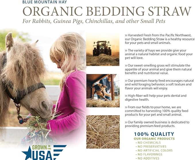 Blue Mountain Hay | Organic Bedding Straw (3 lb) | Natural Pet Bedding & Insulation for Rabbits, Guinea Pigs, Goats, Chickens, Stray & Feral Cats, and Small Animal Shelters