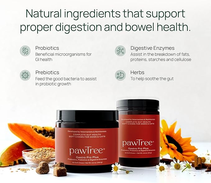 pawTree Gastro Pro Plus® for Dogs and Cats - Probiotics, Prebiotics and Digestive Enzymes - for Sensitive Stomach, Digestive Issues, Loose Stool, and Bad Gas (60 ct)
