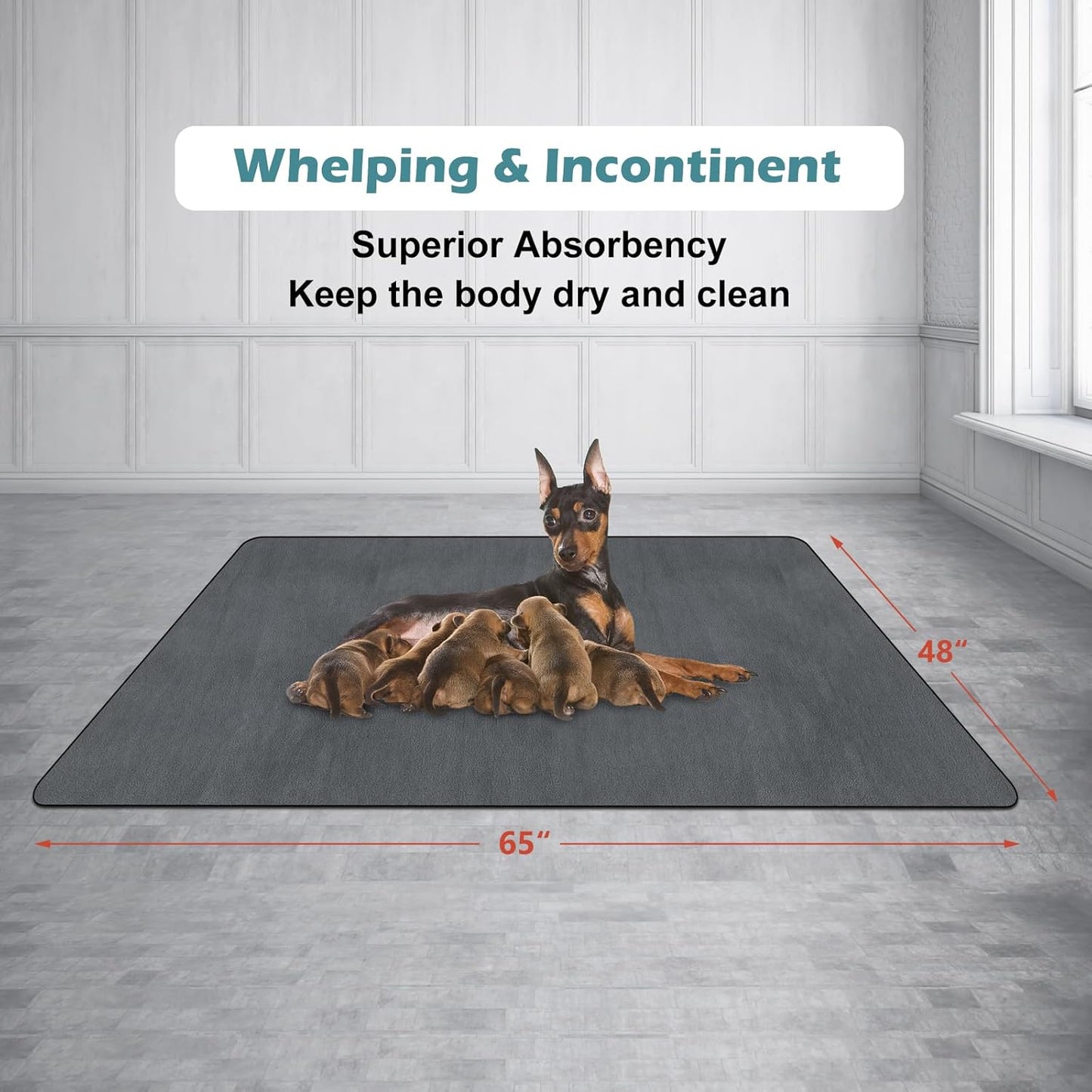 INVENHO Washable Pee Pads for Dogs 65"x48" Reusable Dog Pads Large Upgrade Non-Slip Dog Pee Pads Heavy Absorbency Puppy Pee Pads Quick Dry Whelping Pads/Waterproof Puppy Training Pad