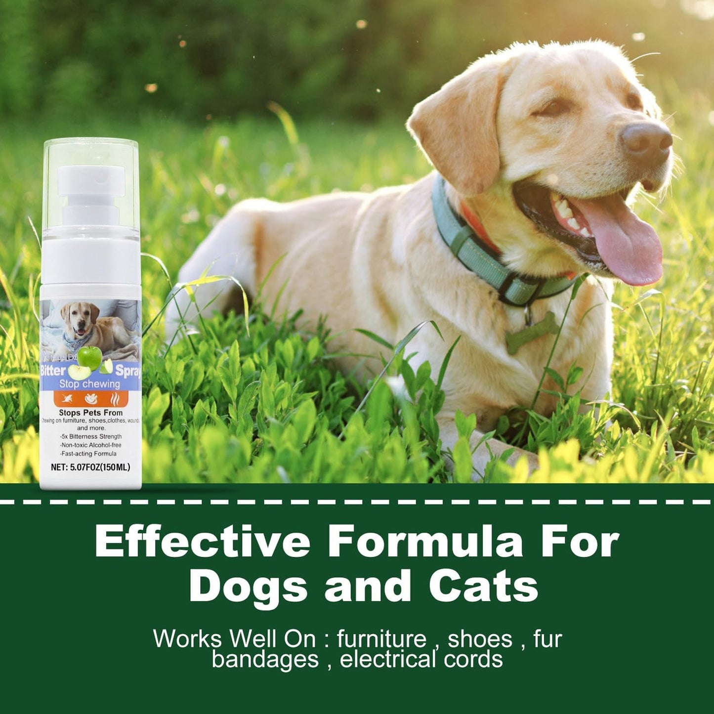 Effectively | Bitter Apple Spray for Dogs to Stop Chewing, NO Chew Spray for Dogs Protect The Safety of Furniture and Your Belongings, Prevent Licking Injuries (Blue, M)