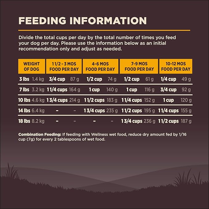 Wellness CORE Puppy Dry Dog Food, Small Breed, Grain-Free, High Protein, Natural, Turkey & Salmon Recipe, (4-Pound Bag)