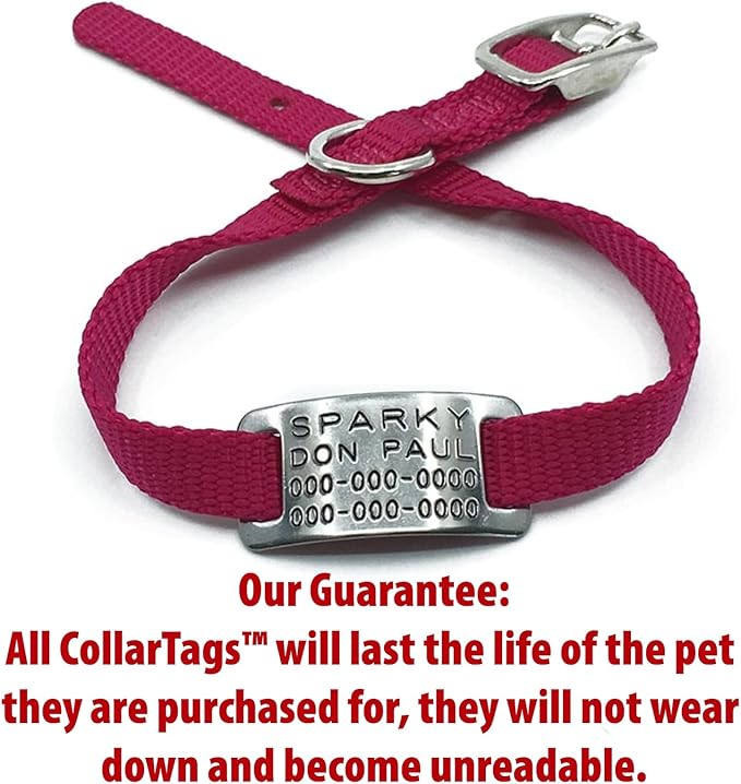 Boomerang Tags Cat Tag - Dog Tag For Small Dogs, Pet Tags Personalized Cat, Slide-on Engraved Stainless Steel Customized Silent ID (Closed End X-Small for 3/8 Inch Wide Nylon Collars with Belt Buckle)