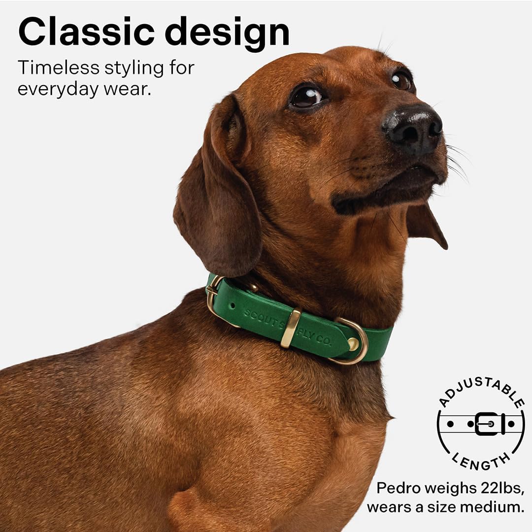 Classic Genuine Leather Dog Collar | Dog Collars for Medium Dogs, Small Dogs, Large Dogs & Extra Large Dog | Wide Dog Collar | Heavy Duty Collar (Green, XX Large)