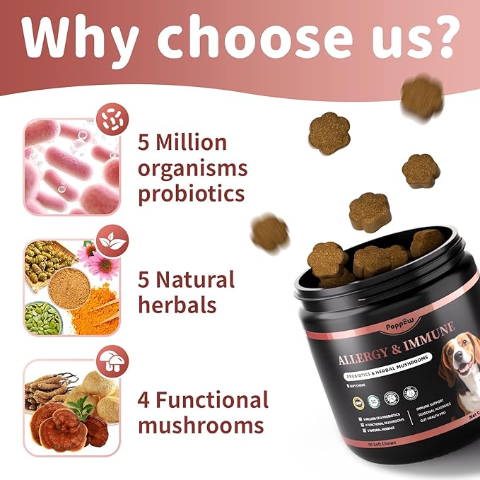 Dog Allergy Chews, Probiotics for Dog Allergy Relief - Itchy Skin and Itchy Ears - Allergy Paw Relief - Seasonal Allergies & Immune Gut Health & Joint, Energy Support, Bacon Flavor - 90 Count