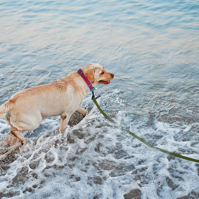 Wolfone 15m Dark Green Heavy Duty Robust Training Dog Leash with Anti-Slip Handle，Waterproof Long Dog Leash for Outdoor Activities