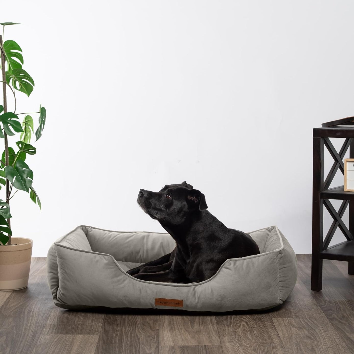 Modern Threads Luxury Dog Bed - Comfortable Tufted Velvet Cushion for Small to Large Dogs - Machine Washable - Durable & Cute Sleep Space for Pets - Pamper Your Pet with Cozy Beds - Light Grey