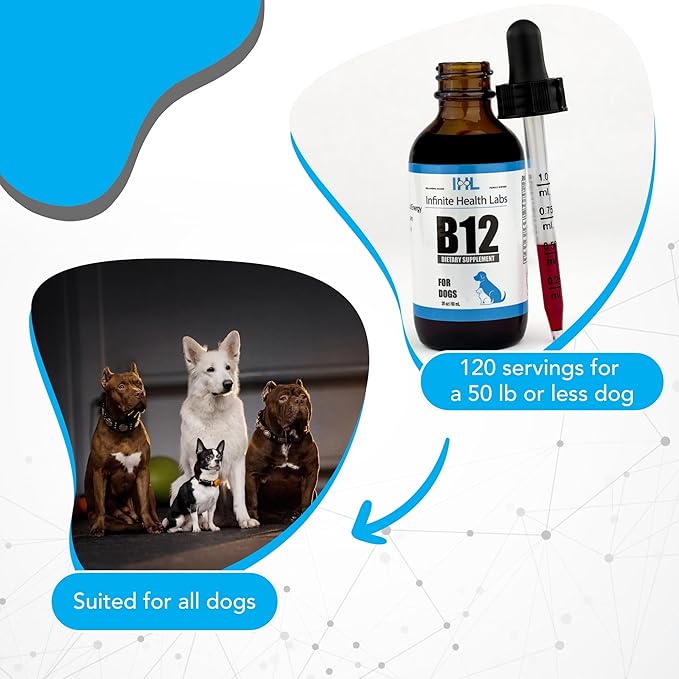 Liquid Vitamin B-12 for Dogs - Methylcobalamin Supplement for Pets - Dog Vitamins for Medium & Large Breed - Pet Vitamins and Supplements - Dog Multivitamins