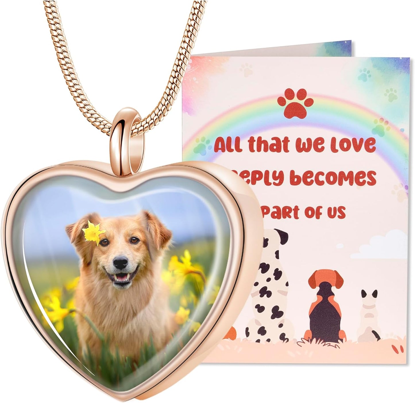 Fanery Sue Pet Ashes Necklace Cremation Jewelry Personalized Picture&Quote Memorial Gifts for Loss of Dog/Cat Urn Necklaces Pets Loss Sympathy Gift Keepsake for Women