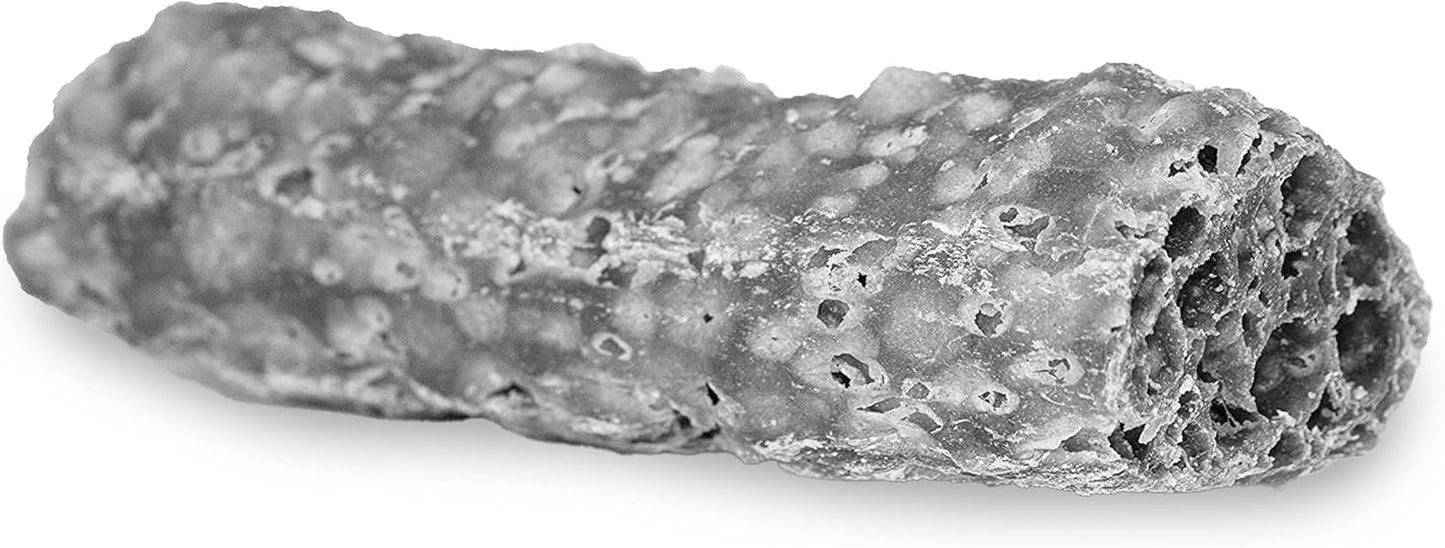 Happy Teeth Cheese & Charcoal Dental Dog Chews | Cheese Flavor with Activated Charcoal | Dental Chew | Protein Rich | Gluten Free - Lactose Free - Wheat Free - Soy Free| 2 Chews per Resealable Pouch