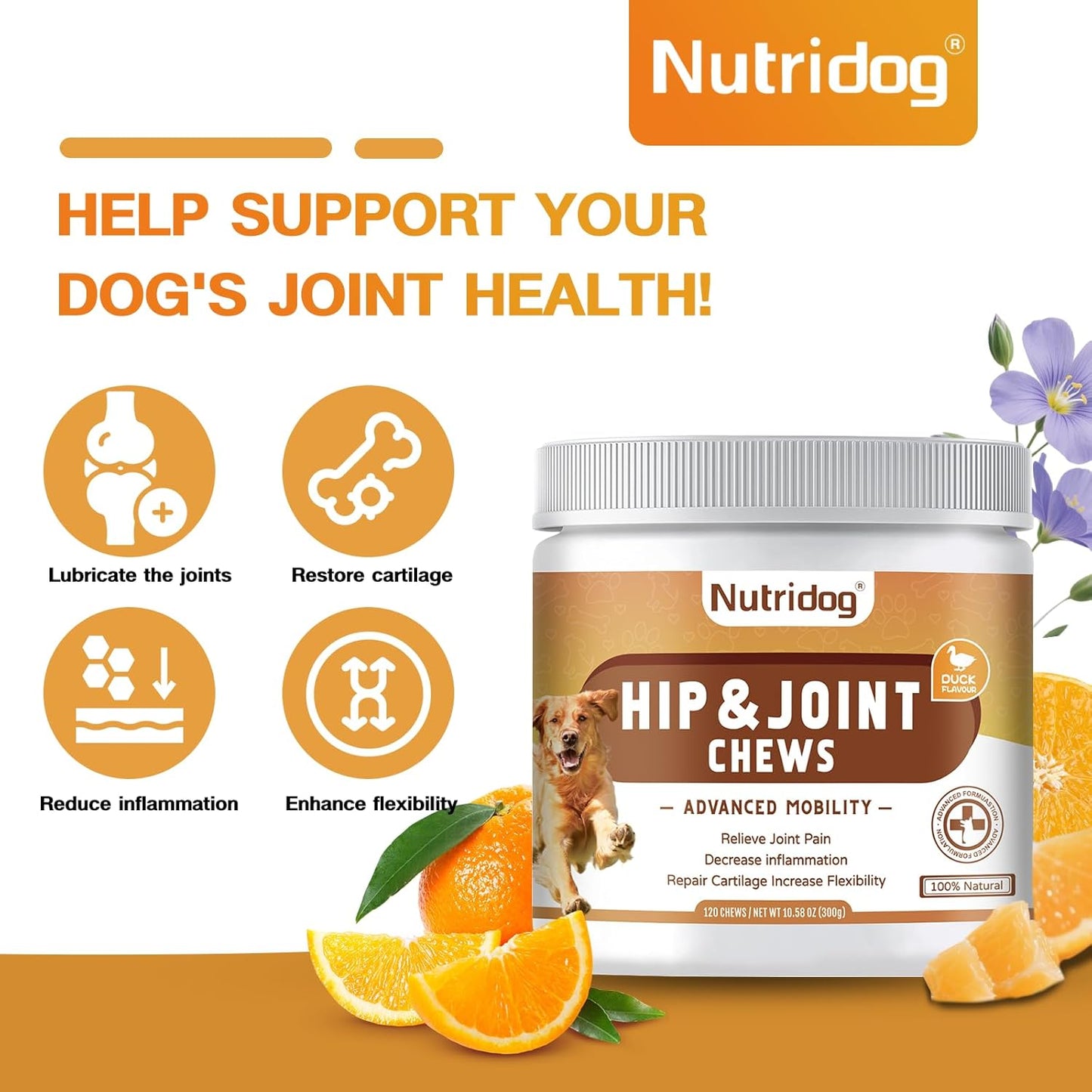 Hip and Joint Supplement for Dogs with Glucosamine, Chondroitin & MSM - Duck Flavor Joint Care Chews, 120 Count - Advanced Mobility Support - Senior Dog Approved (Duck)