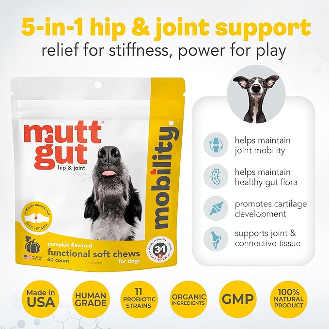 MuttGut® Mobility Chews for Dogs - Glucosamine Chews with MSM, Turmeric & Algae Oil Powder - Joint Support & Hip Health Supplement for Dogs - Vet Recommended, cGMP Certified - 60 Soft Chews