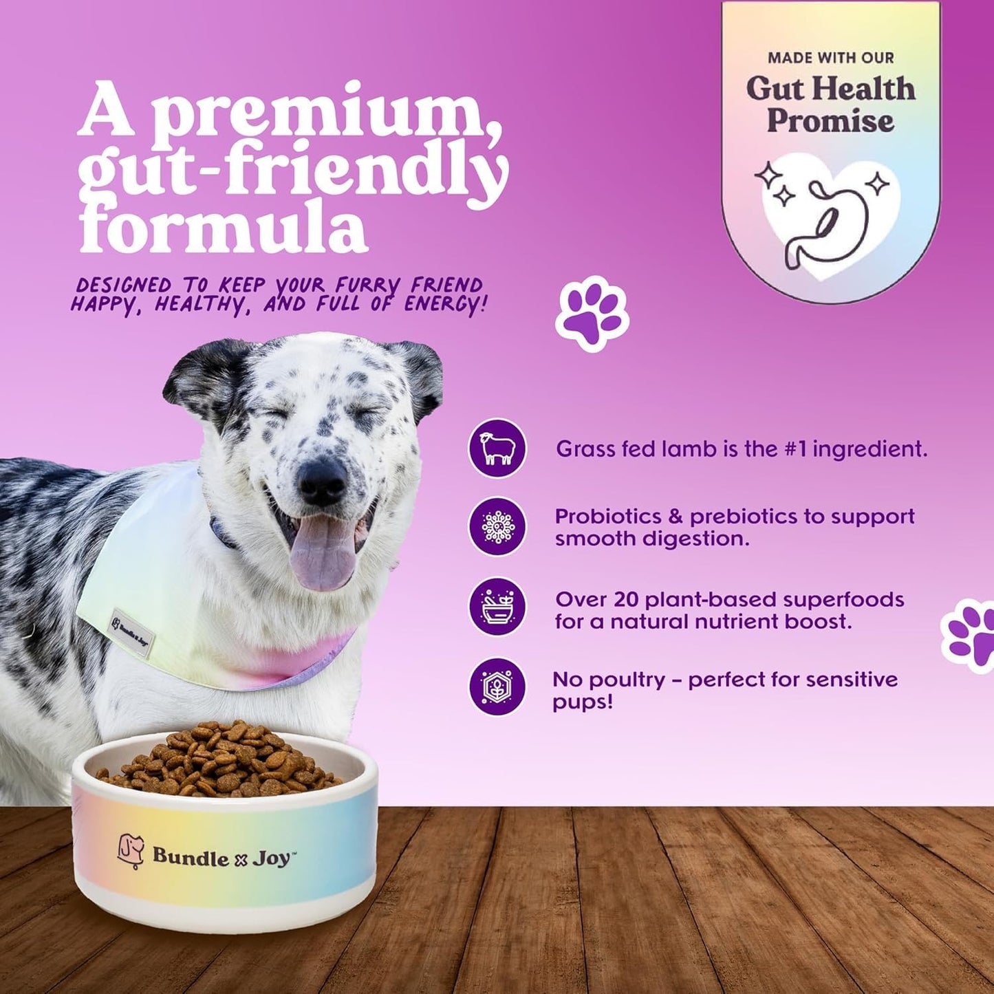 Bundle x Joy Superfood Dry Dog Food - Pet Food for Small, Medium and Large Breeds - Made with Real Ingredients - Nutrient Dense Probiotic Dog Food to Support Healthy Digestion (12 Pound, Lamb)