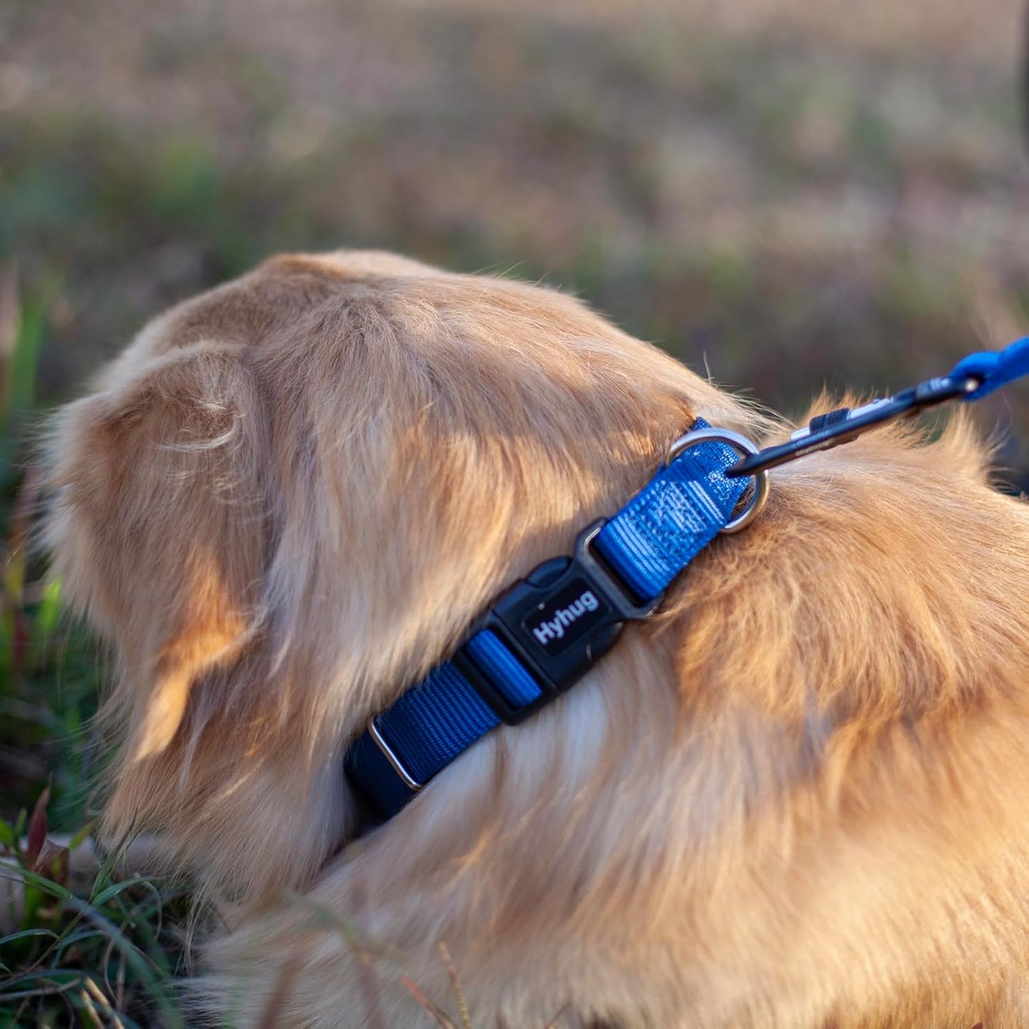 Hyhug Small Dog Collar Quick-Release Blue| Heavy-Duty Nylon Puppy Collar, Adjustable & Durable Pet Supplies for Boy & Girl Dogs (Small, Classic Blue)