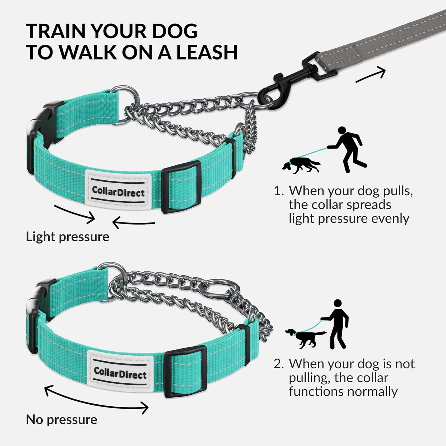 CollarDirect Martingale Dog Collar with Stainless Steel Chain and Quick Release Buckle - Reflective Collar for Large, Medium, Small Dogs - Mint Green, Medium (Neck Size 14"-17")