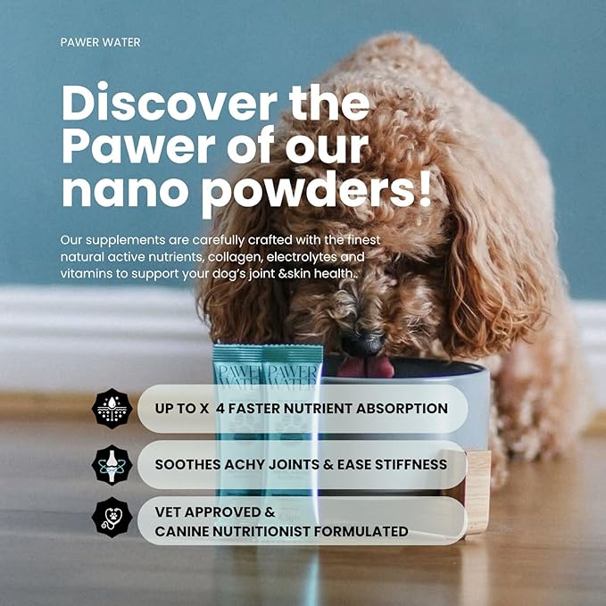 Advanced Joint & Hydration Supplement for Dogs – Vet-Approved - Soluble Powder with Collagen, Electrolytes, 7 Active Nutrients & Vitamins – Chicken Broth Flavor (Up to 8 Weeks Supply)