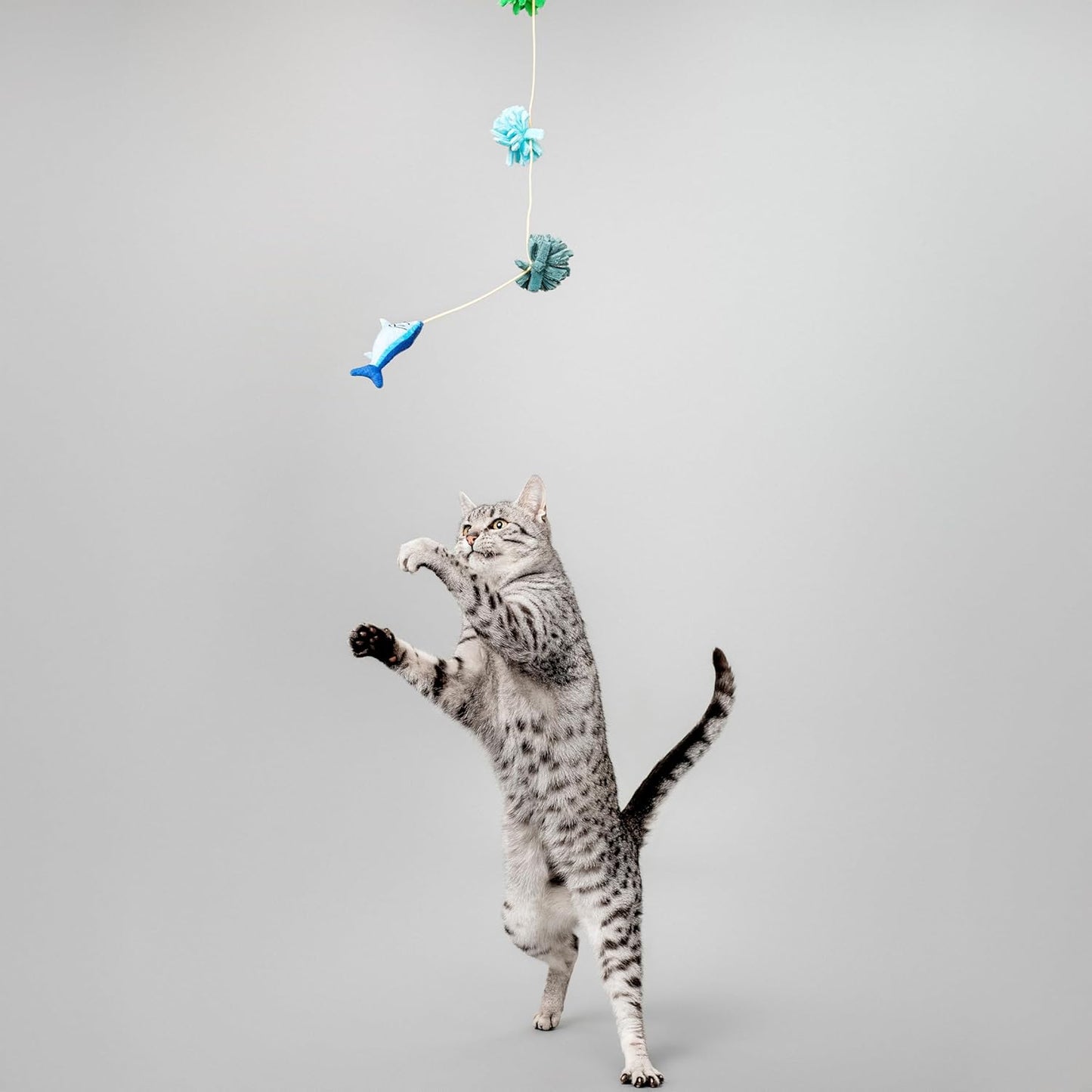 Cat Toys | Plush Toy Fish Teaser Cat Toys for Indoor Cats | Eco Friendly Toy Made from Non Toxic Materials