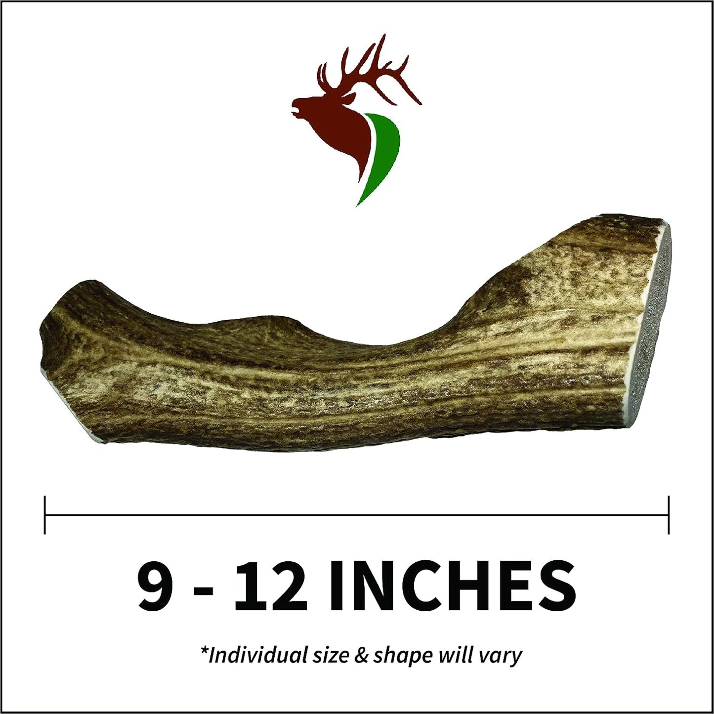Monster Whole Single Pack (for 90+ lb Dogs) Premium Grade Elk Antler for Dogs (1 Piece) Sourced in The USA